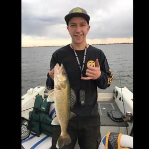 Meet your Posher, William